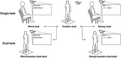 The Effects of Transcranial Direct Current Stimulation on Dual-Task Interference Depend on the Dual-Task Content